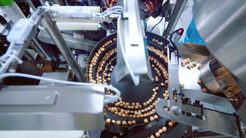 聚焦高質量發展 | 安徽無為 小堅果撬動綠色食品大產業